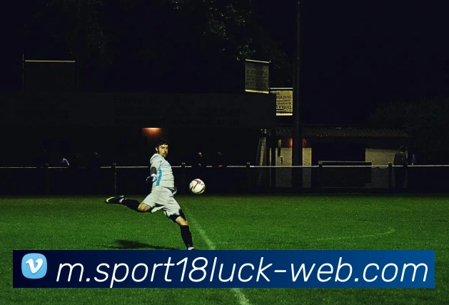 18新利体育APP 高清赛事图